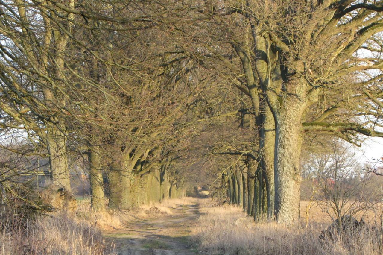 Radlerzimmer Strasen エクステリア 写真